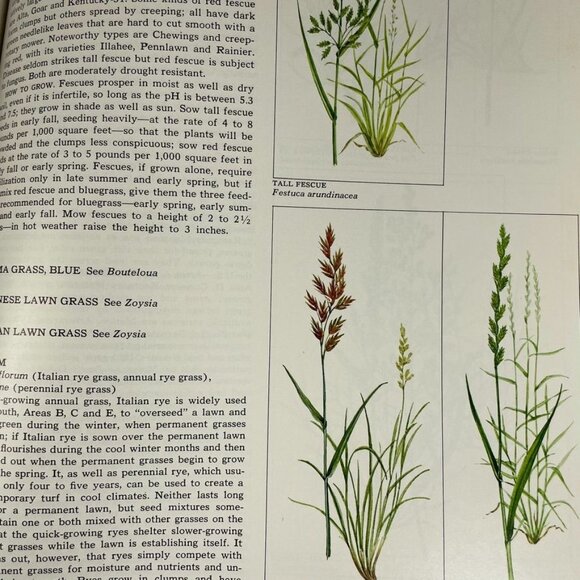 How to Grow Lawns Ground Covers Time Life Encyclopedia of Gardening 1973 u - Picture 9 of 9